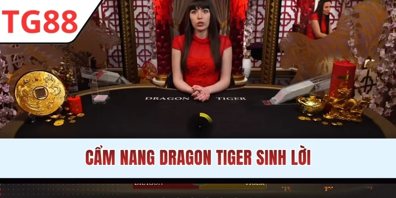 Cẩm nang Dragon Tiger sinh lời