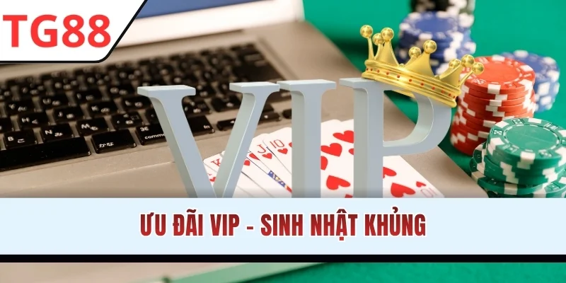 Ưu đãi VIP - Sinh nhật khủng